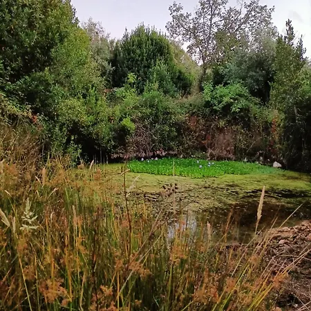 Дом отдыха Casa Campores *