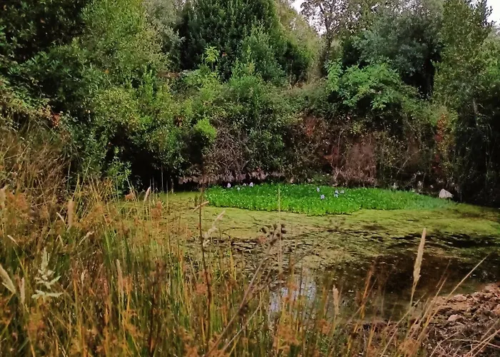 Dom wakacyjny Casa Campores *